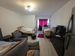 Dristor, chiar la gura de metrou, 10 minute mall Park Lake si parc IOR